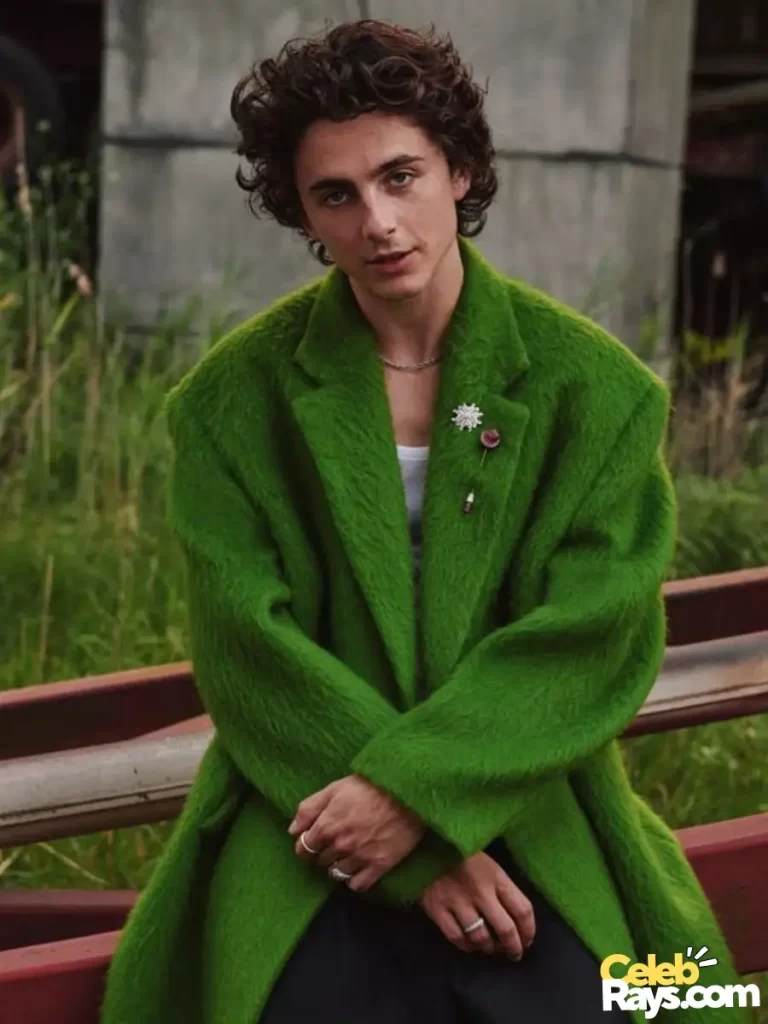 Timothée Chalamet - Bio, Wiki, Career, Age, Height, Family ...